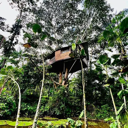 Reserva Natural Natura Park Puerto Nariño Extérieur photo