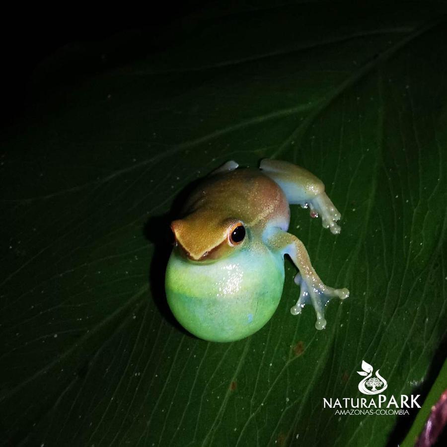 Reserva Natural Natura Park