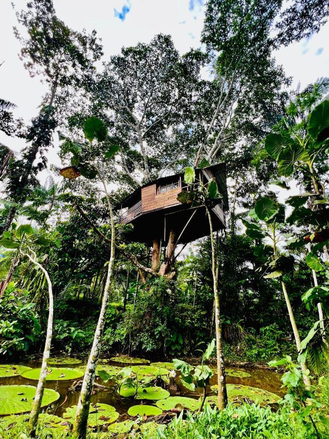 Reserva Natural Natura Park Lodge Puerto Nariño