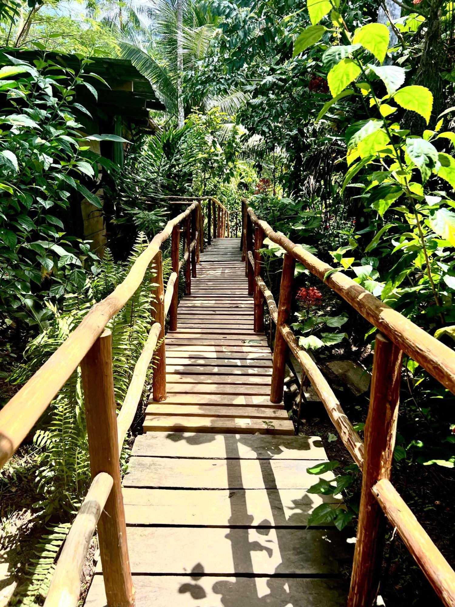 Reserva Natural Natura Park Lodge *