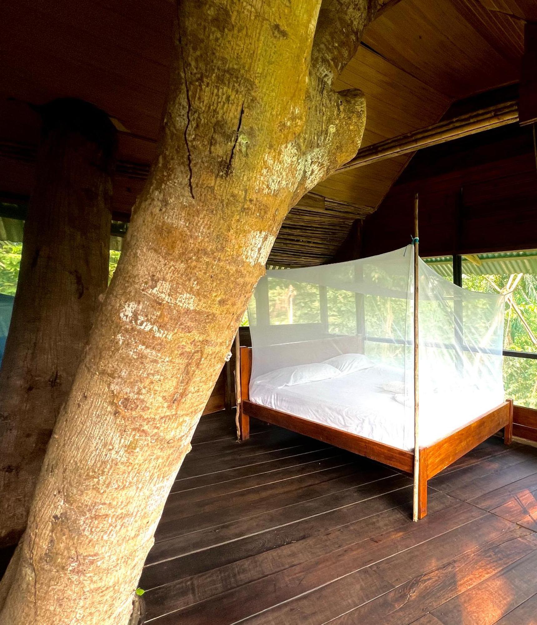Lodge Reserva Natural Natura Park Puerto Nariño