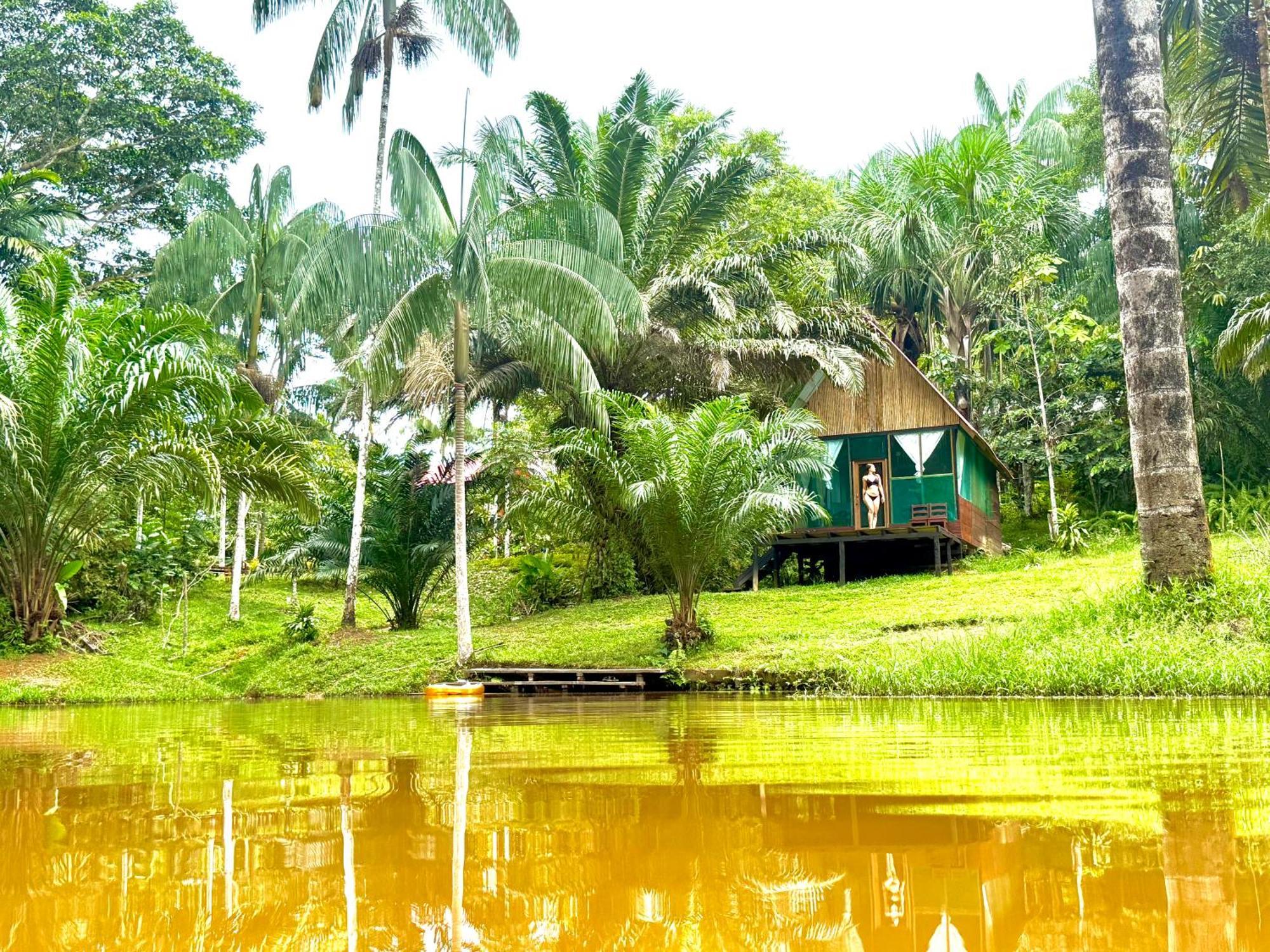 Reserva Natural Natura Park Lodge *